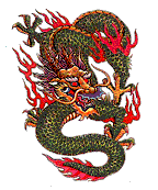 an animated image of a dragon