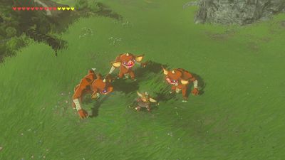 Art for The Legend of Zelda: Breath of the Wild