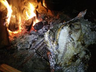 a fire-roasted fish and campfire