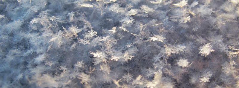 a microscopic photo of a large clump of mostly-unbroken snowflakes