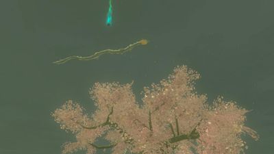 Art for The Legend of Zelda: Tears of the Kingdom